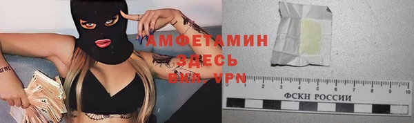 PSILOCYBIN Вязники