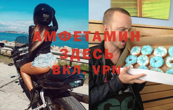 сатива Вязьма
