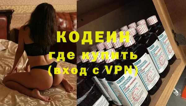 прущие крисы Вяземский