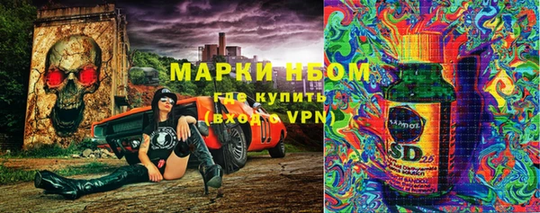 сатива Вязьма