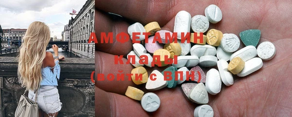 прущие грибы Волоколамск