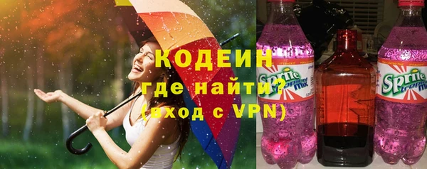 индика Волосово