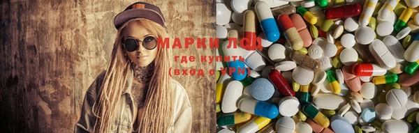 индика Волосово