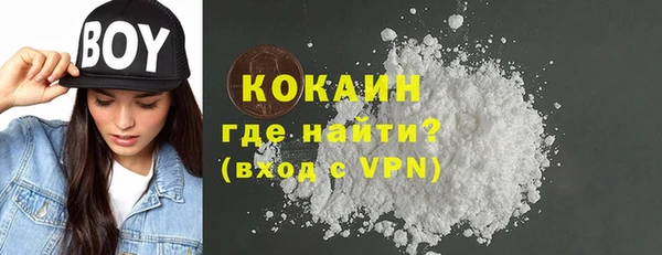 индика Волосово