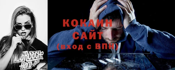 сатива Вязьма