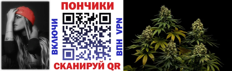 Бошки Шишки конопля  Карабаш 